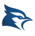 BlueJay Aerial Imaging logo